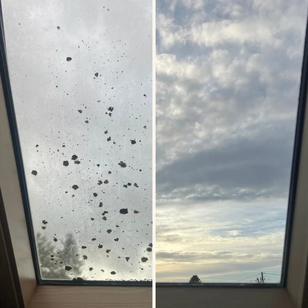 Nettoyage velux avant/après